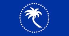 blue, ring of 38 white stars, white palm tree