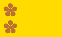 yellow, two brown flowers