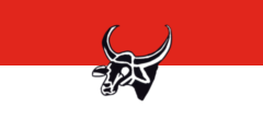red-white, black banteng head